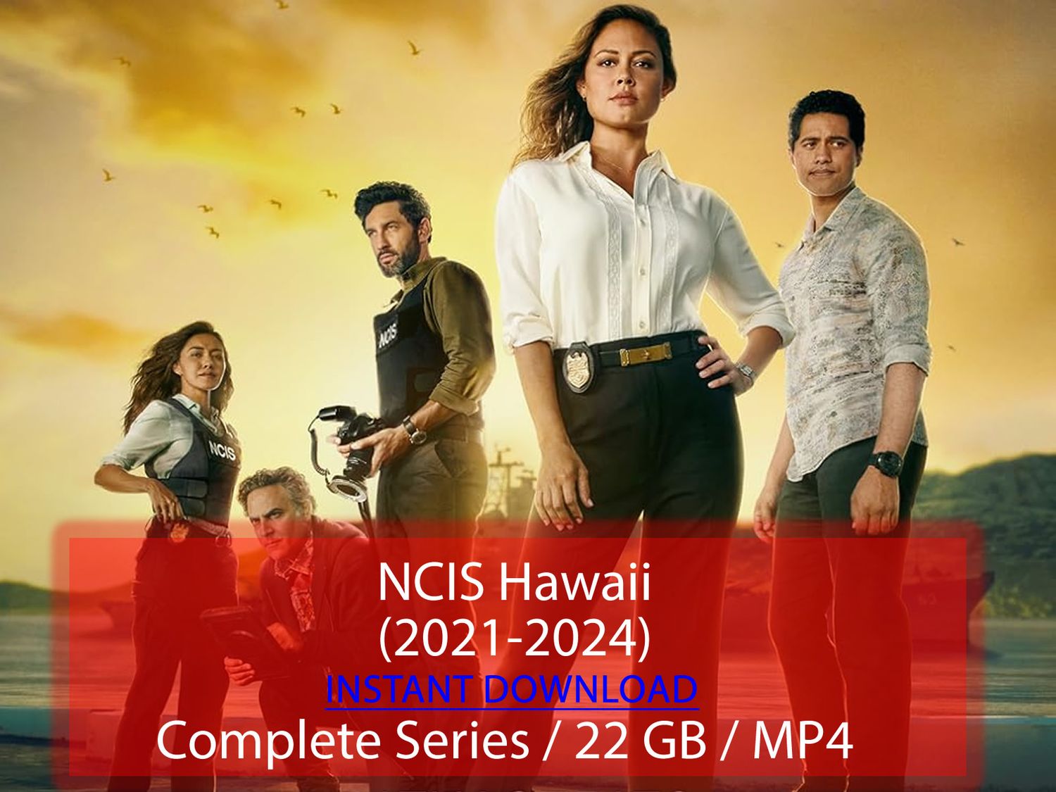 NCIS: Hawaii (2021-2024)