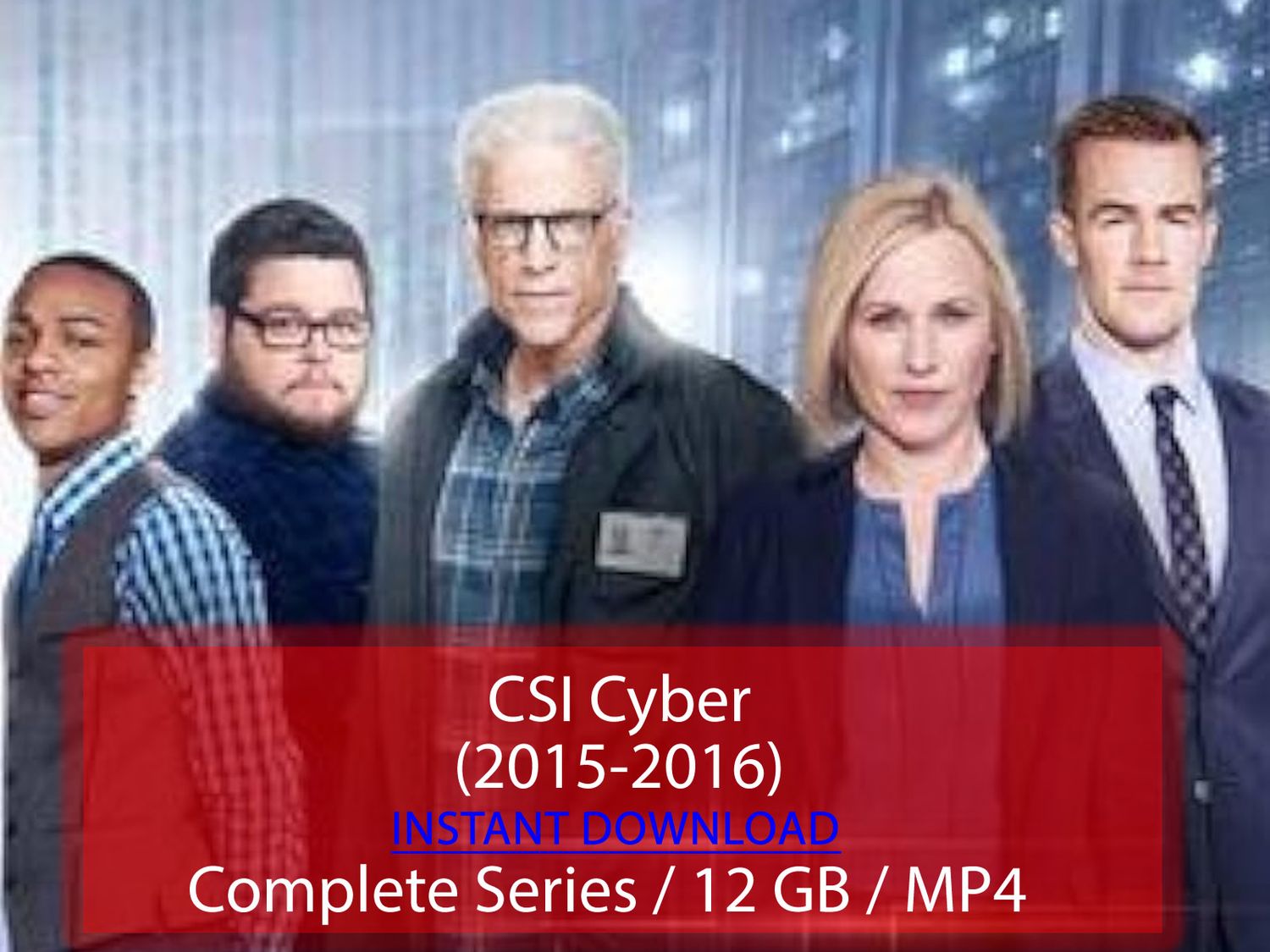 CSI Cyber (2015-2016)