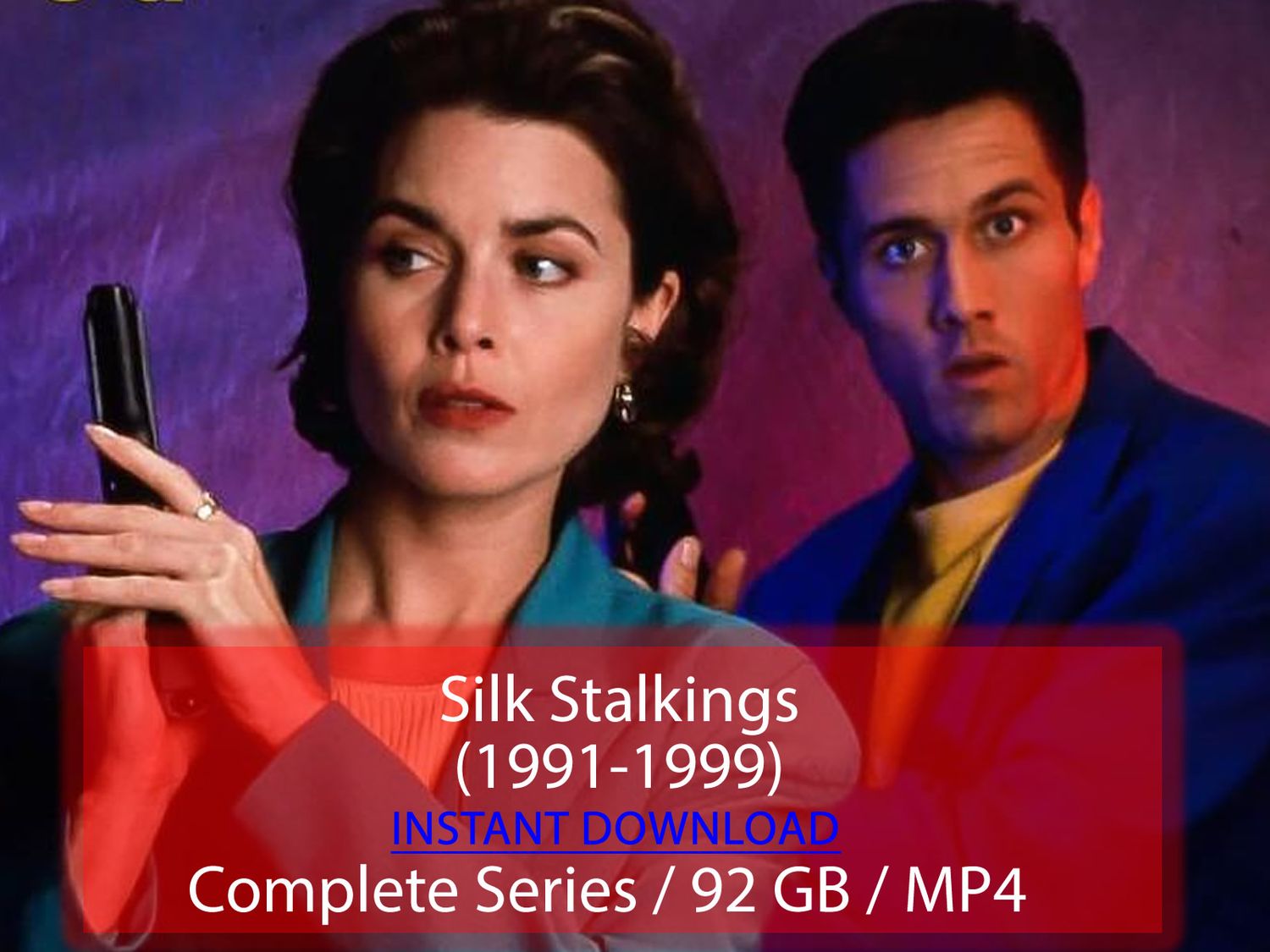 Silk Stalkings (1991-1999)