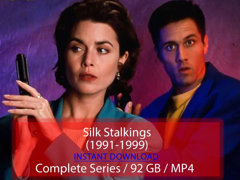 Silk Stalkings (1991-1999)