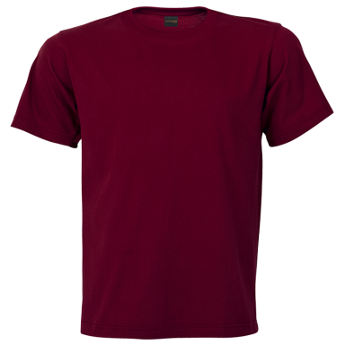 Maroon T-Shirt
