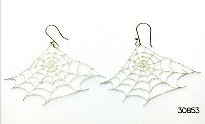 Spider Web Silver Earrings