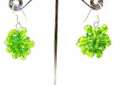 Versatile Luxury Earrings