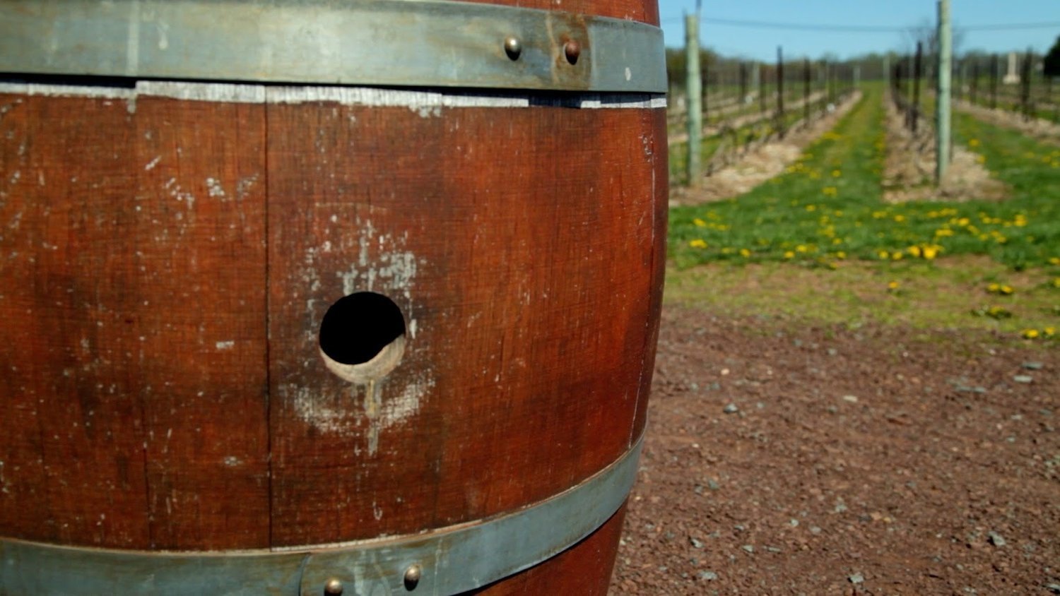 4 Week Prepay *SPECIAL OFFER* 2/26-3/6