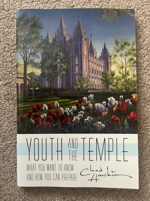 ***PRELOVED/SECOND HAND*** Youth and the Temple. Chad Hawkins