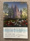 ***PRELOVED/SECOND HAND*** Youth and the Temple. Chad Hawkins