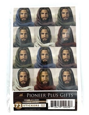 Savior Stickers - assorted colours