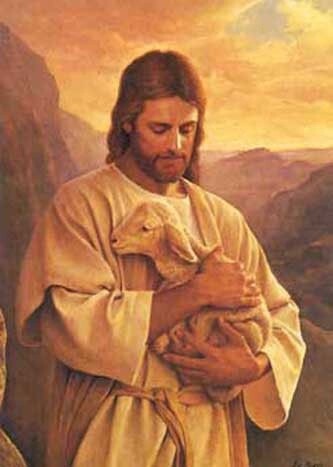 Lost Lamb 5x7 Print Del Parson