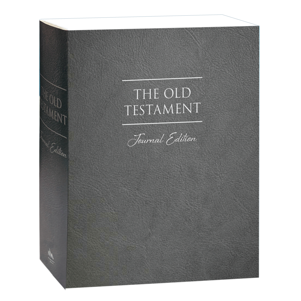 The Old Testament, Journal Edition, Gray (No Index) LINED