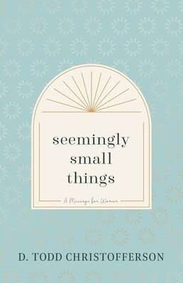Seemingly Small Things Booklet