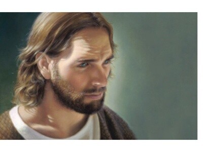 Prince of Peace - Liz Swindle, Recommend Holder NO FLIP