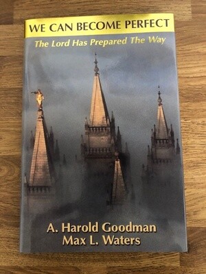 ***PRELOVED/SECOND HAND*** We Can Become Perfect. by Waters &amp; Goodman