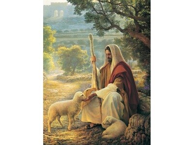 Lost No More - Greg Olsen, Recommend Holder