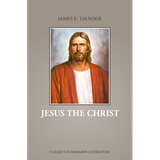 Jesus the Christ, Material: Paperback