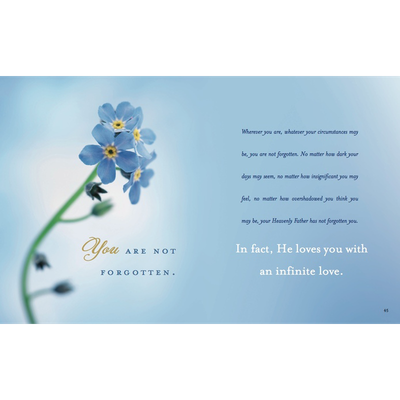 Forget Me Not