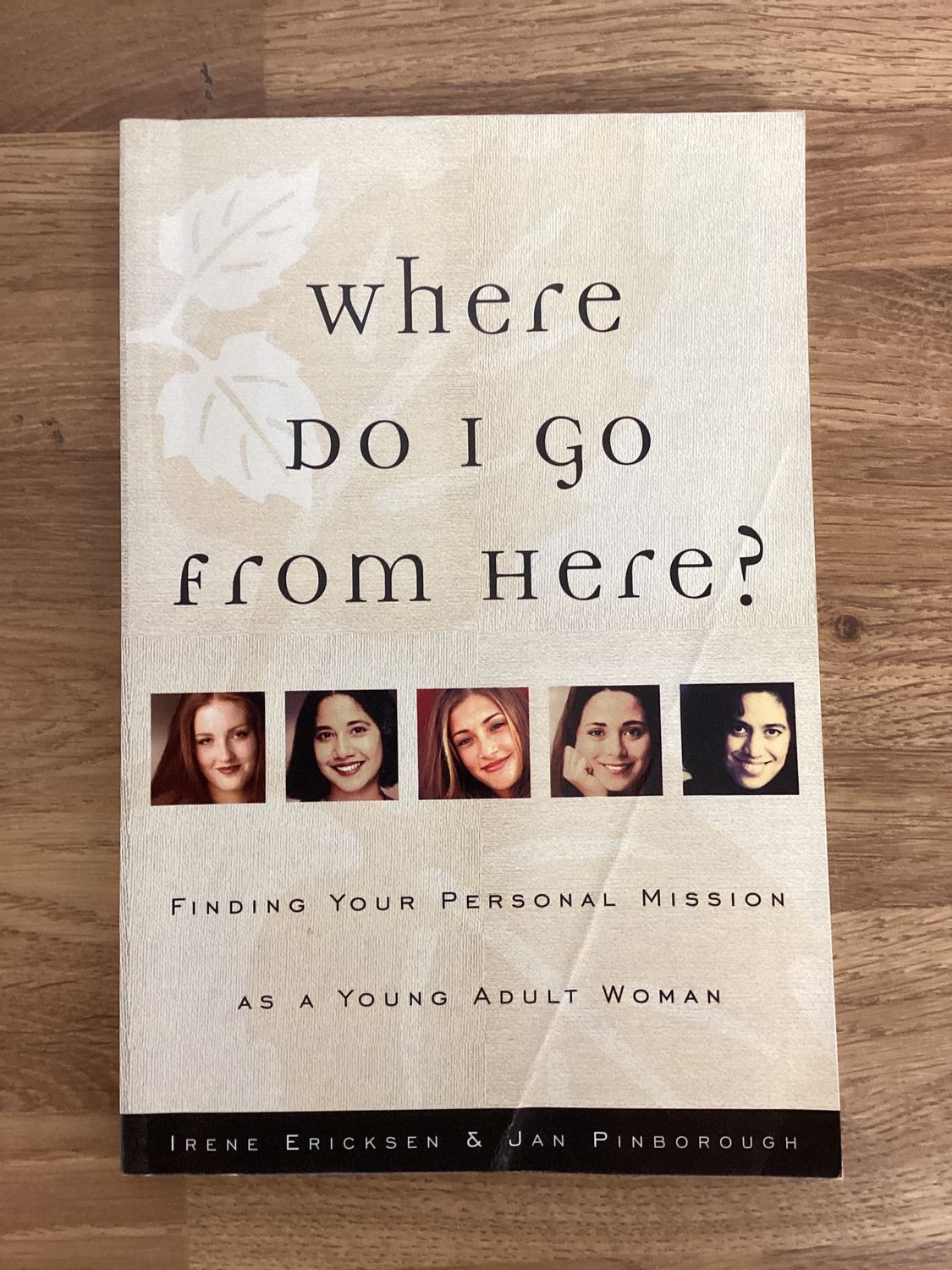 ***PRELOVED/SECOND HAND*** Where Do I Go From Here? Irene Ericksen &amp; Jan Pinborough