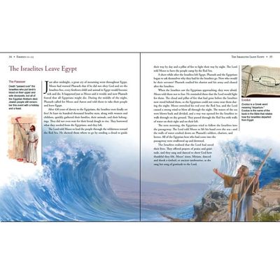 Illustrated Bible Stories for Latter-Day Saints