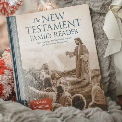 The New Testament Family Reader