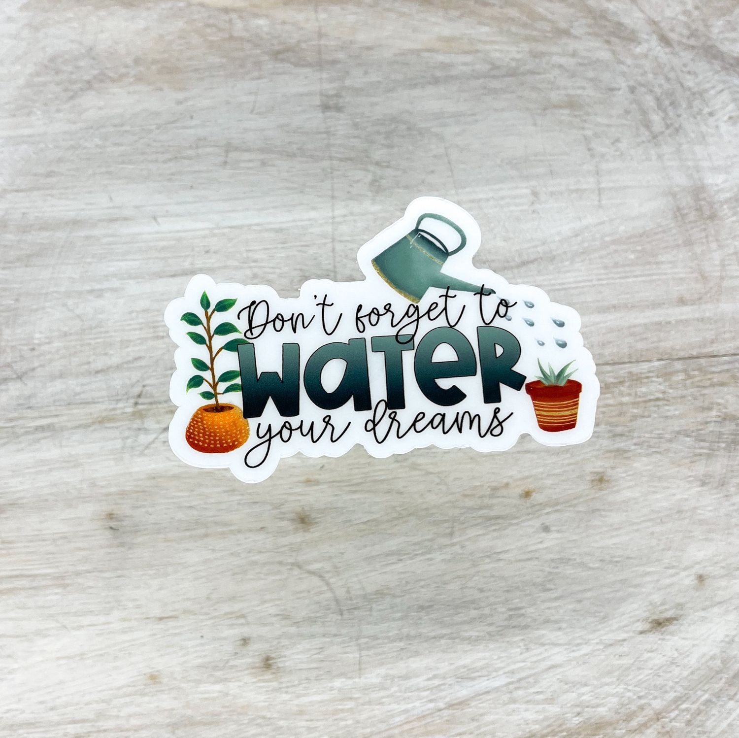 Don’t Forget To Water Your Dreams, Plant Sticker, 3x3in