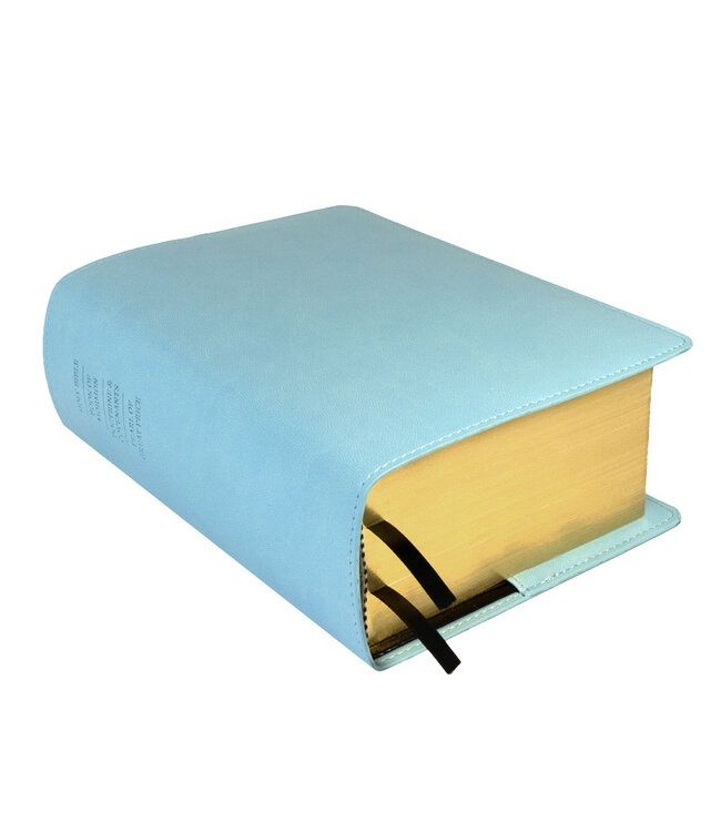 Quad Slip Cover, Colour: Light Blue, Style: Slip Cover