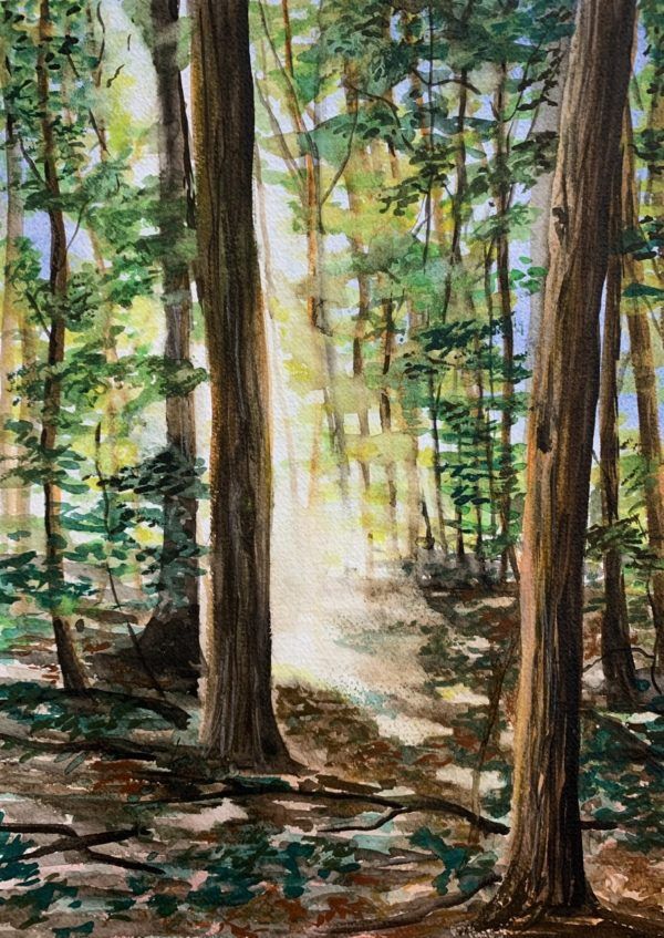 &quot;A Sacred Grove&quot; Print In Mount by Rachel Anne Rasmussen, Size: A4