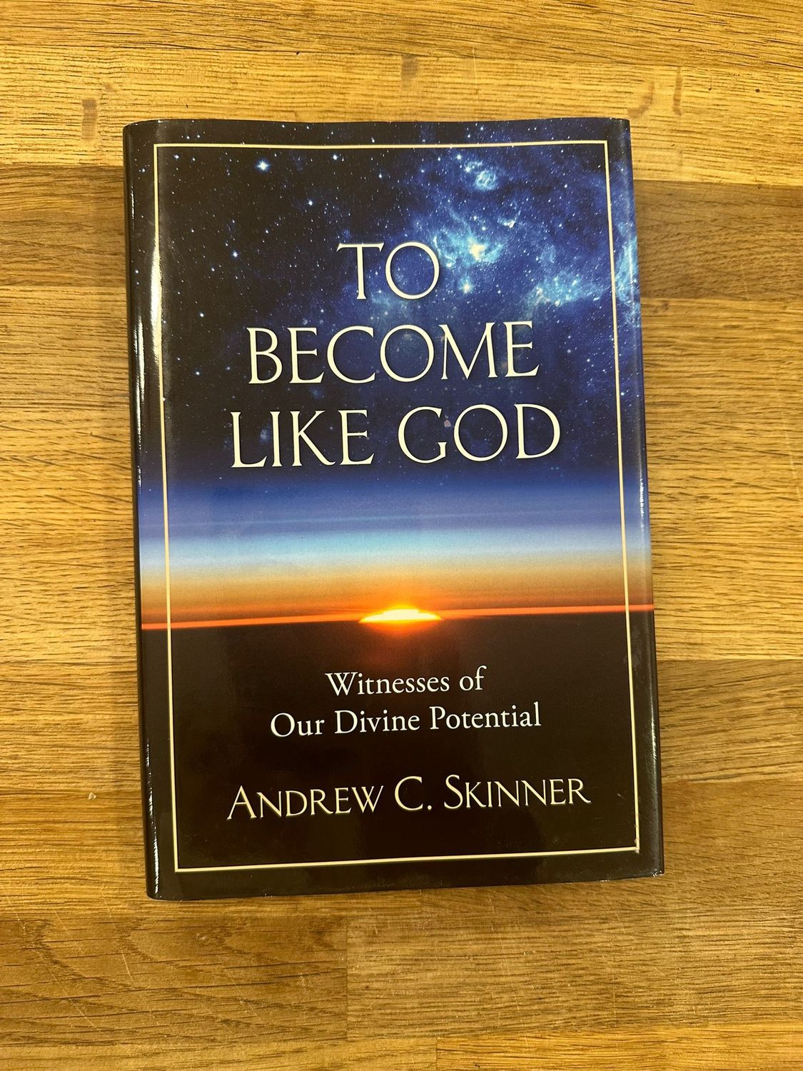 ***PRELOVED/SECOND HAND*** To Become like God - Skinner