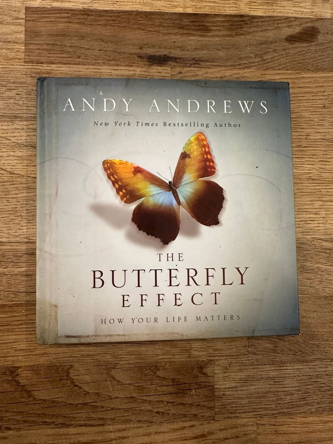 ***PRELOVED/SECOND HAND*** The Butterfly Effect - Andrews