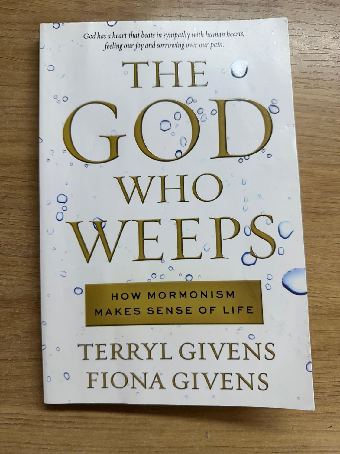 ***PRELOVED/SECOND HAND*** The God Who Weeps - Givens