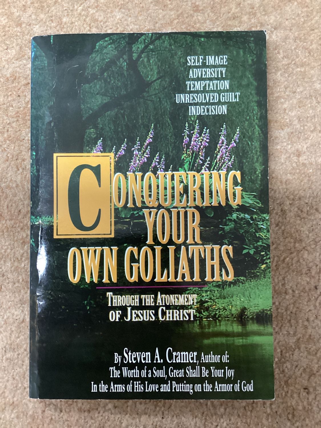 ***PRELOVED/SECOND HAND*** Conquering your own Goliaths