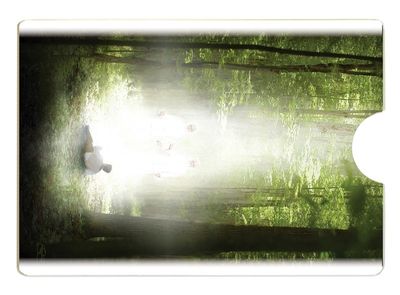 Sacred Grove Family Name Holder