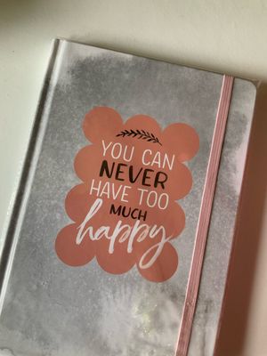 Never Have Too Much Journal