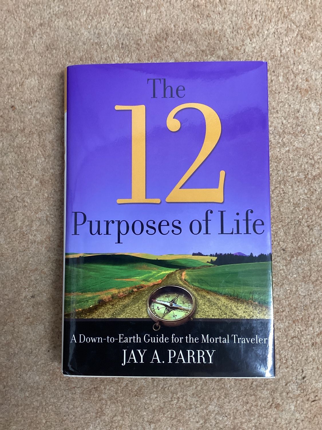 ***PRELOVED/SECOND HAND*** The 12 Purposes of Life