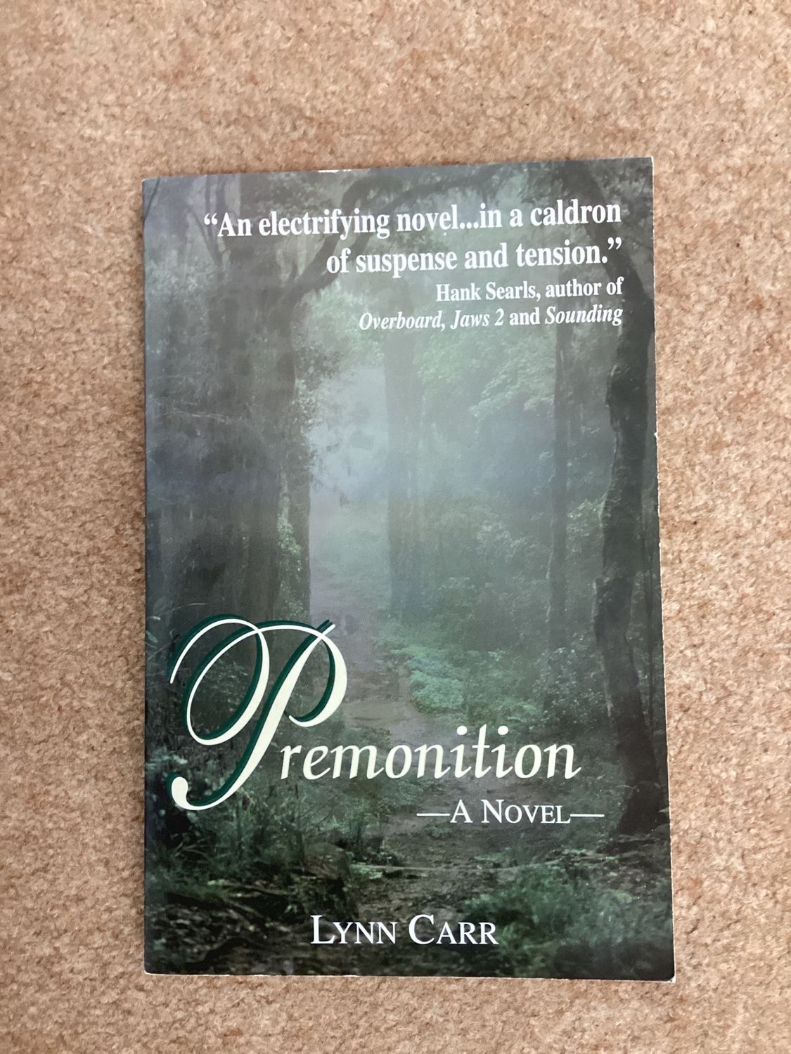 ***PRELOVED/SECOND HAND***Premonition. Lynn Carr
