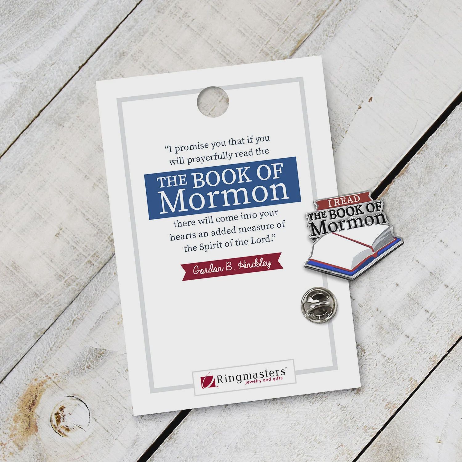 I Read the Book of Mormon Pin