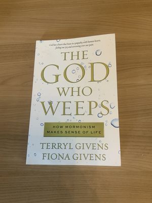 ***PRELOVED/SECONDHAND*** The God Who Weeps