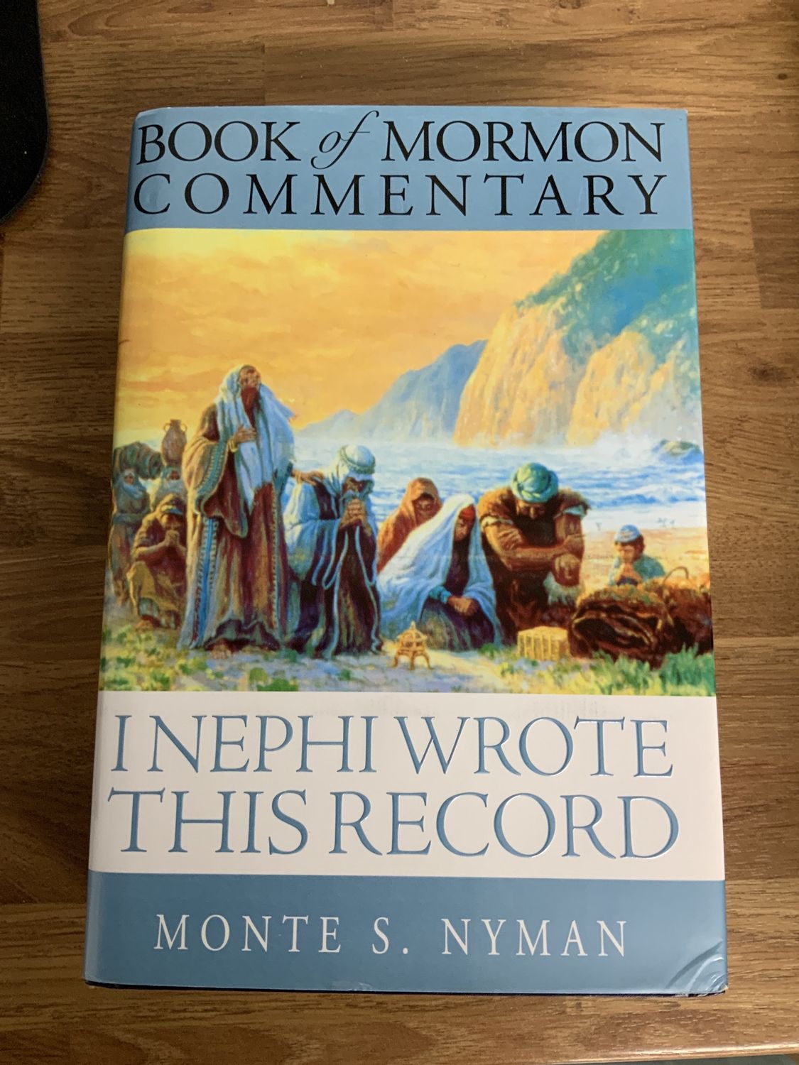 ***PRELOVED/SECONDHAND*** I Nephi Wrote This Record
