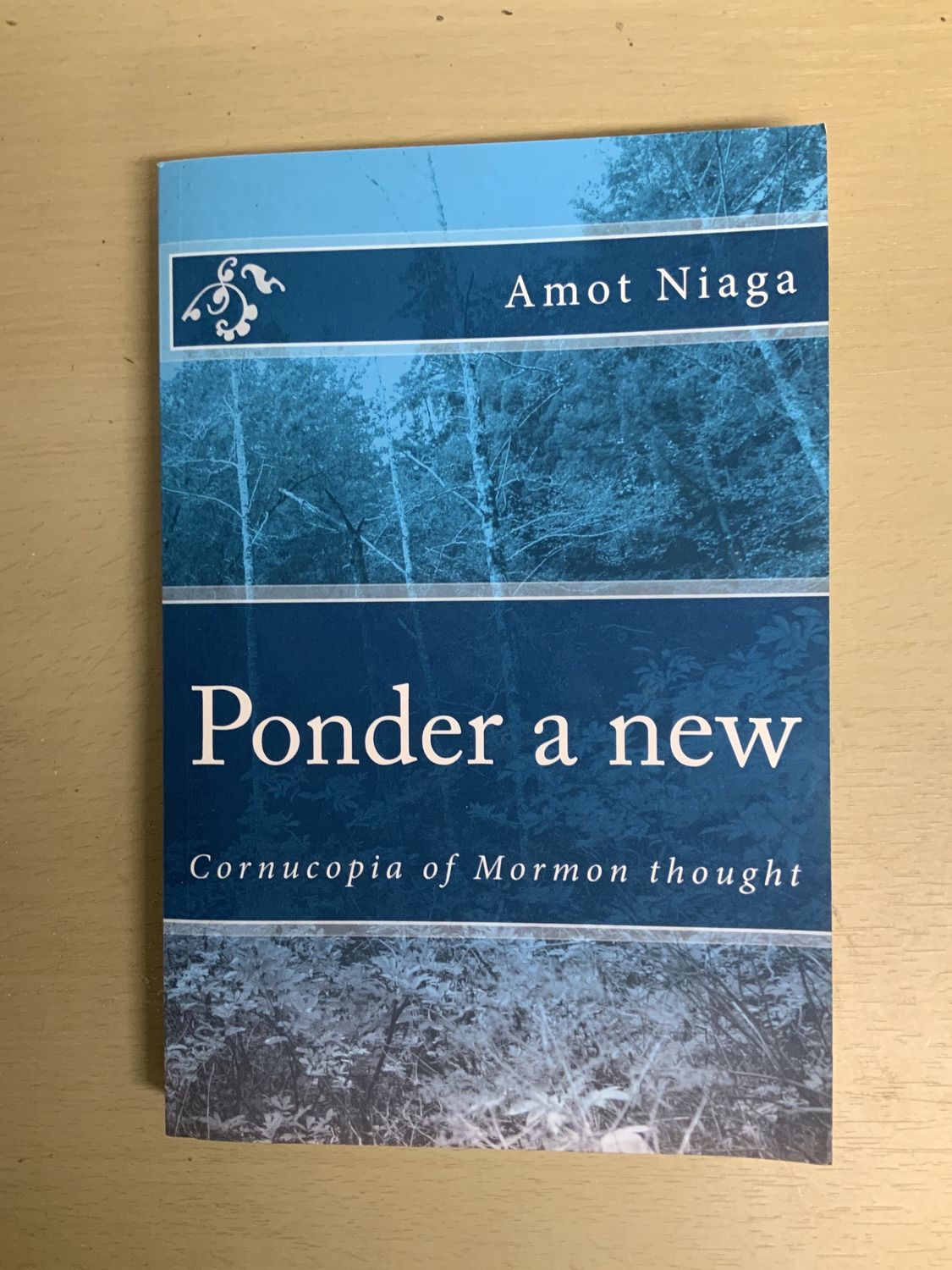 ***PRELOVED/SECONDHAND*** Ponder a New