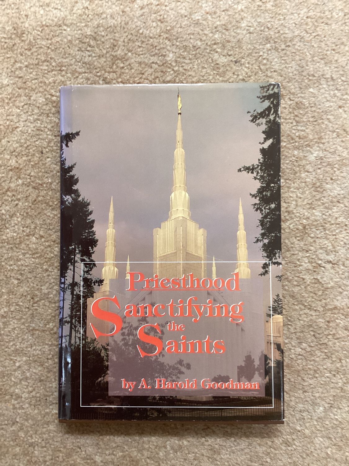 ***PRELOVED/SECOND HAND*** Priesthood Sanctifying the Saints