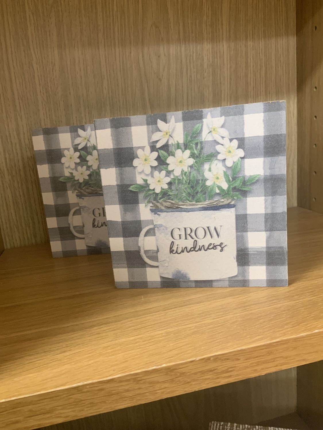 Grow Kindness Wooden Block