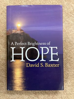 ***PRELOVED/SECOND HAND*** A Perfect Brightness of Hope - Baxter