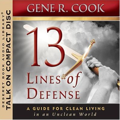 13 lines of defence