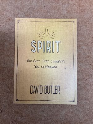 *** PRELOVED/SECOND HAND*** Spirit by David Butler