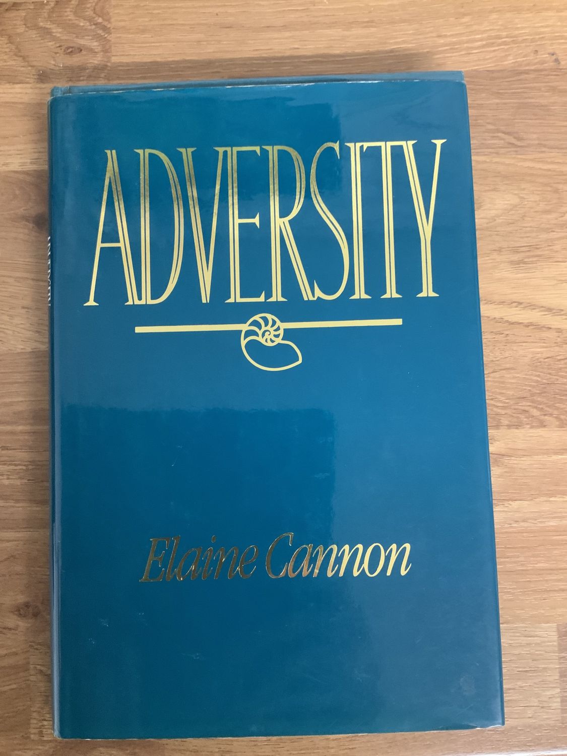 ***PRELOVED/SECONDHAND*** Adversity