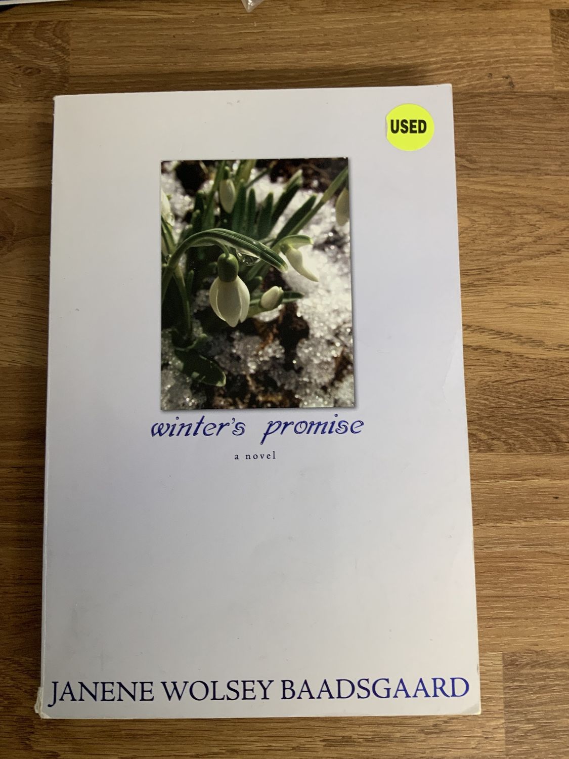 ***PRELOVED/SECONDHAND*** Winter&#39;s Promise