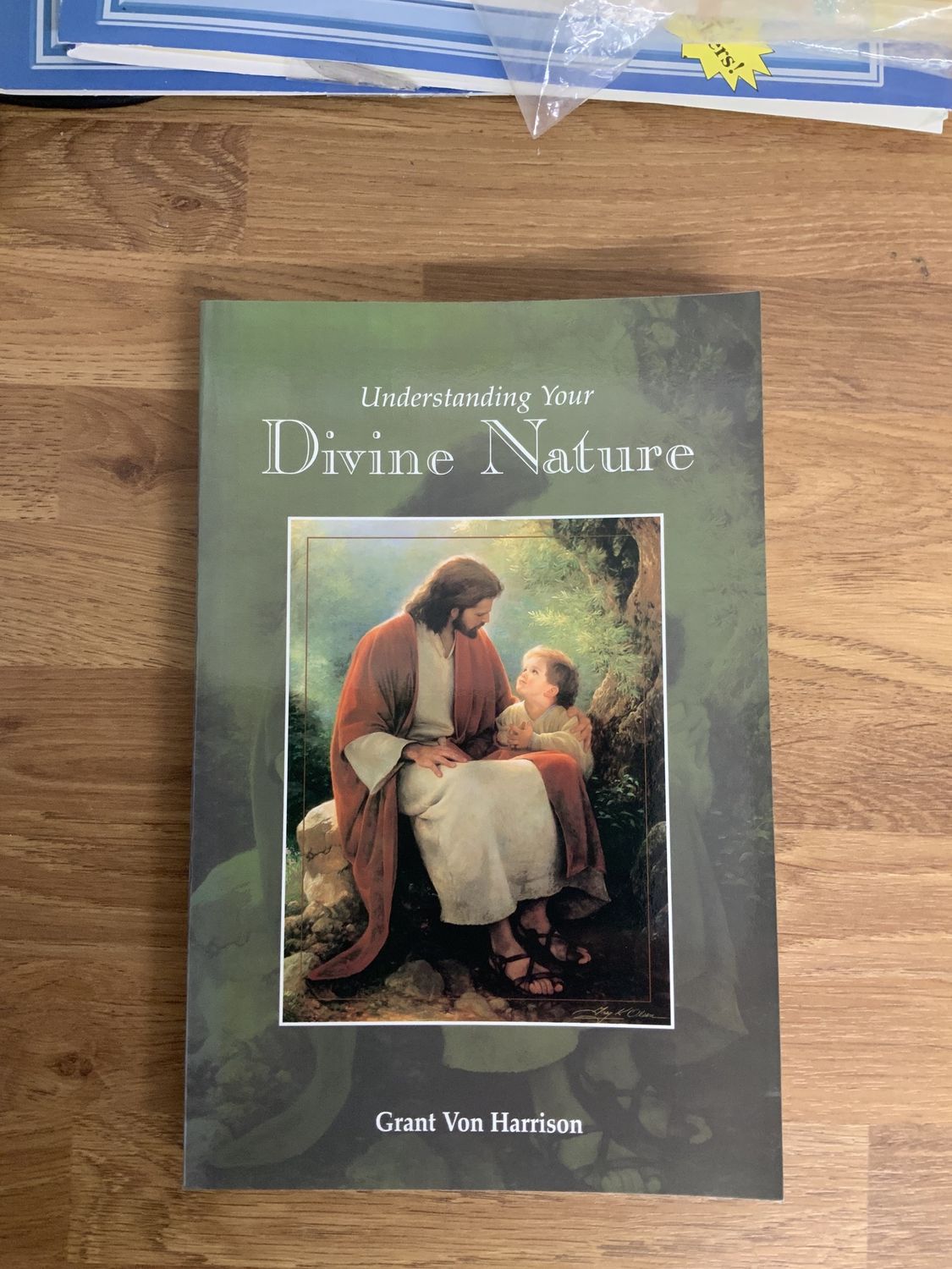 ***PRELOVED/SECONDHAND*** Understanding Your Divine Nature