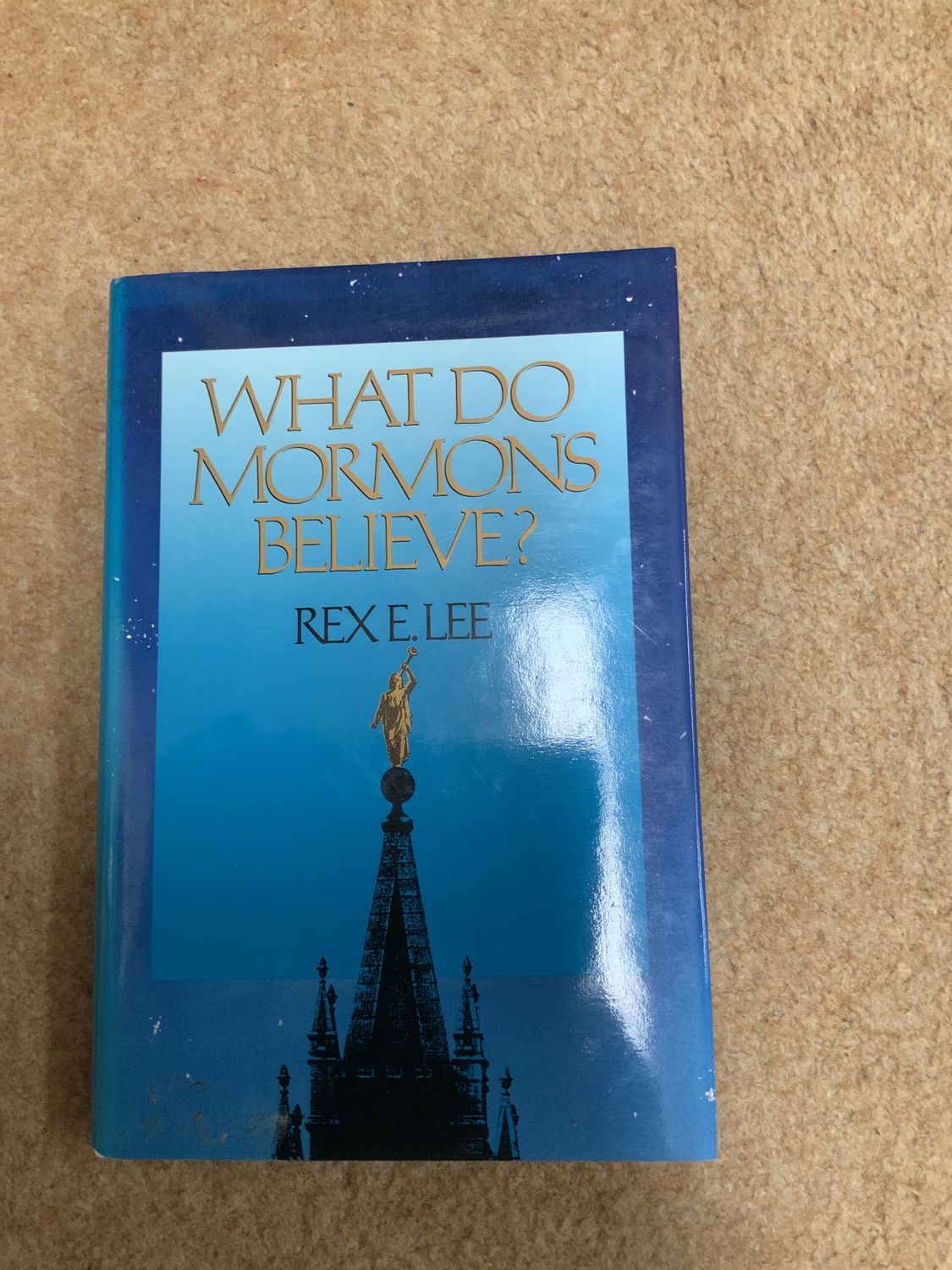 ***PRELOVED/SECONDHAND*** What DoMormons Believe
