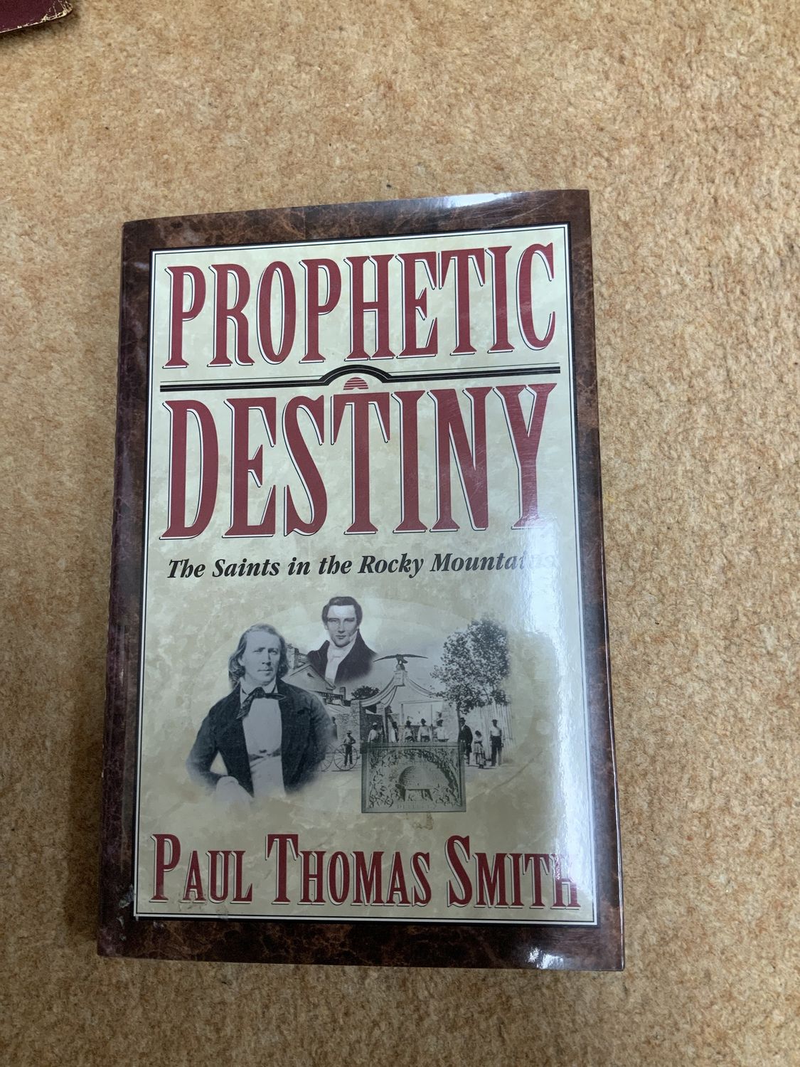 ***PRELOVED/SECONDHAND*** Prophetic Destiny