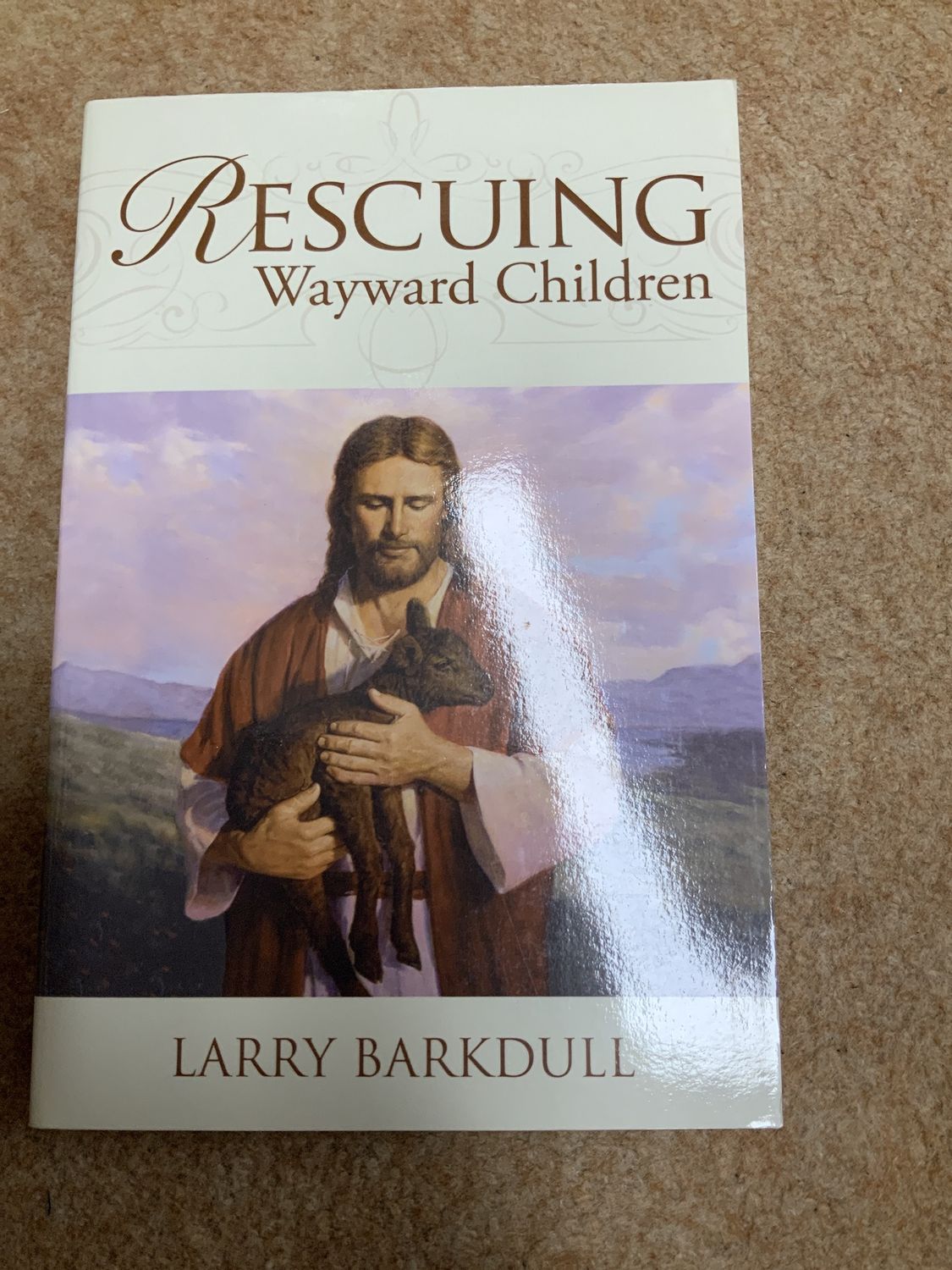 ***PRELOVED/SECONDHAND*** Rescuing Wayward Children
