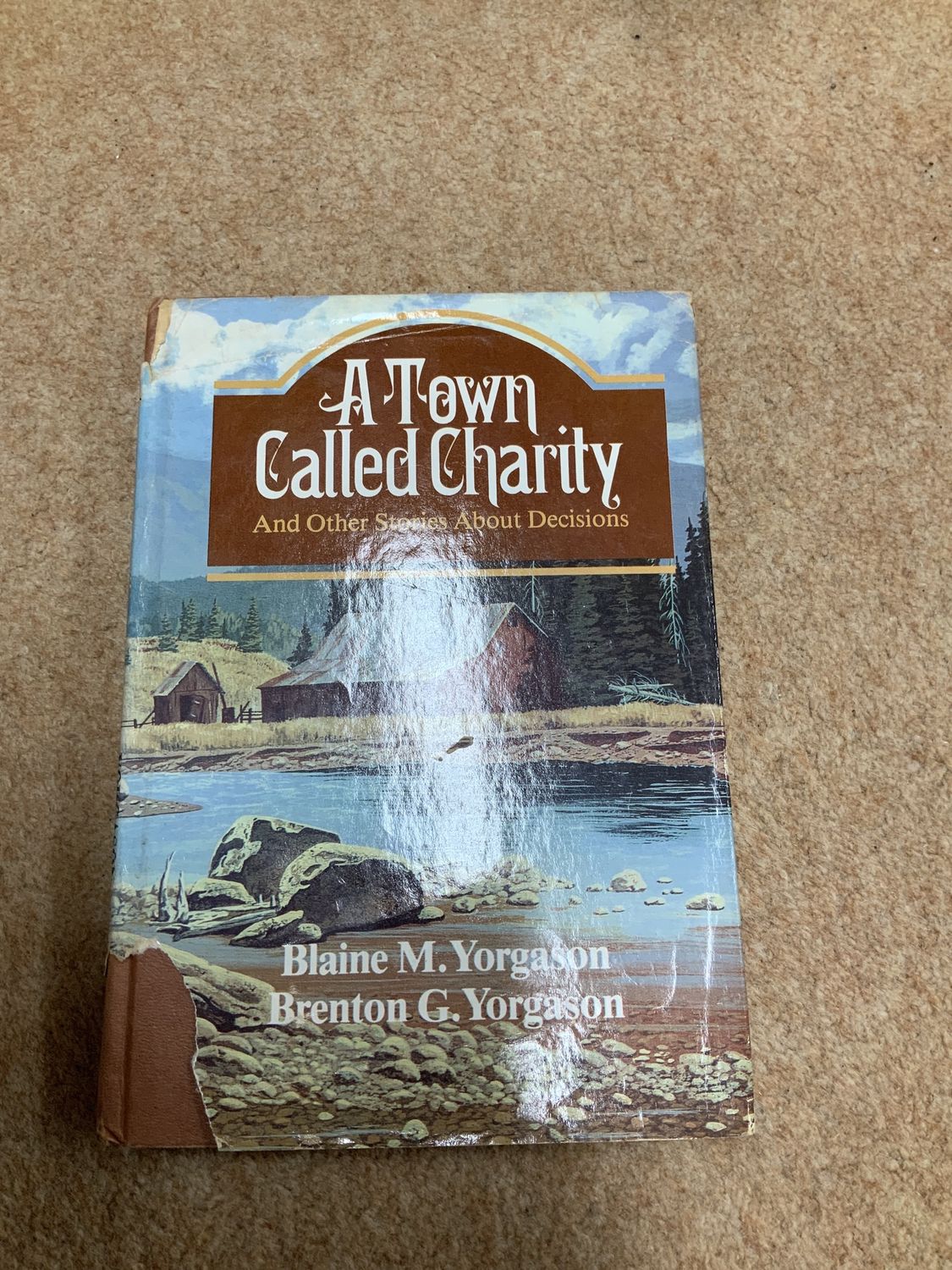 ***PRELOVED/SECONDHAND*** A Town Called Charity