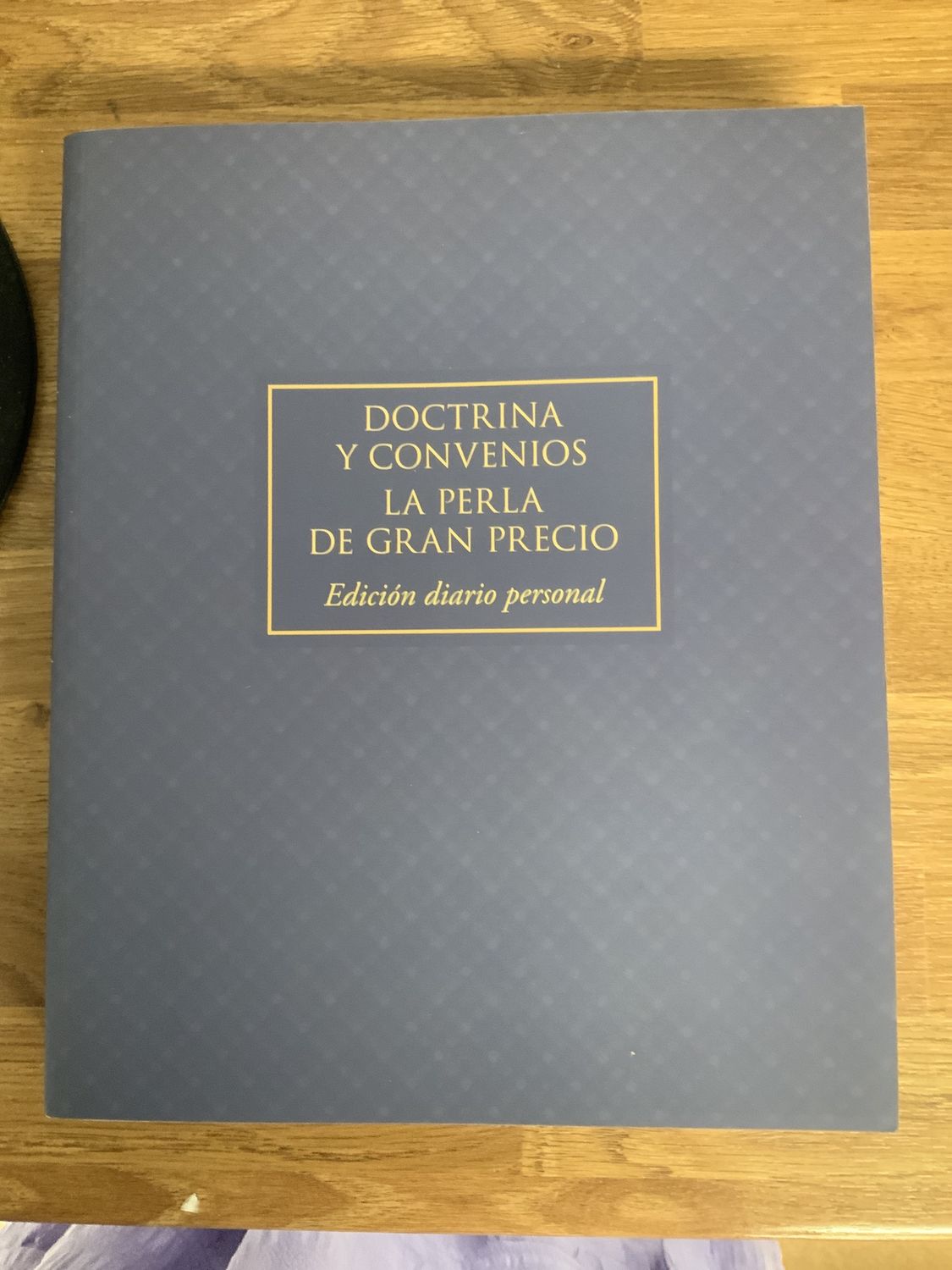 ***PRELOVED/SECONDHAND*** D&amp;C journal Spanish edition
